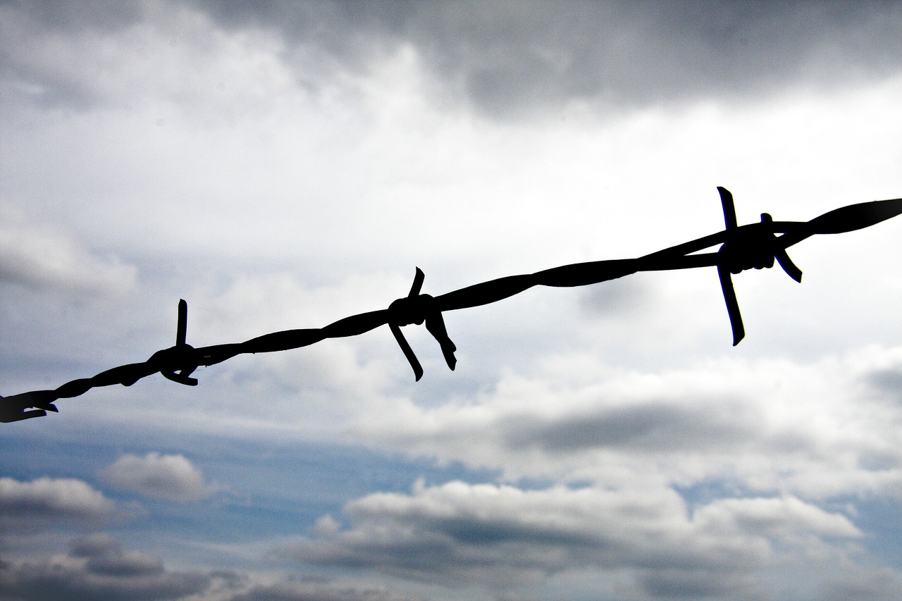 barbed wire fence wire free photo
