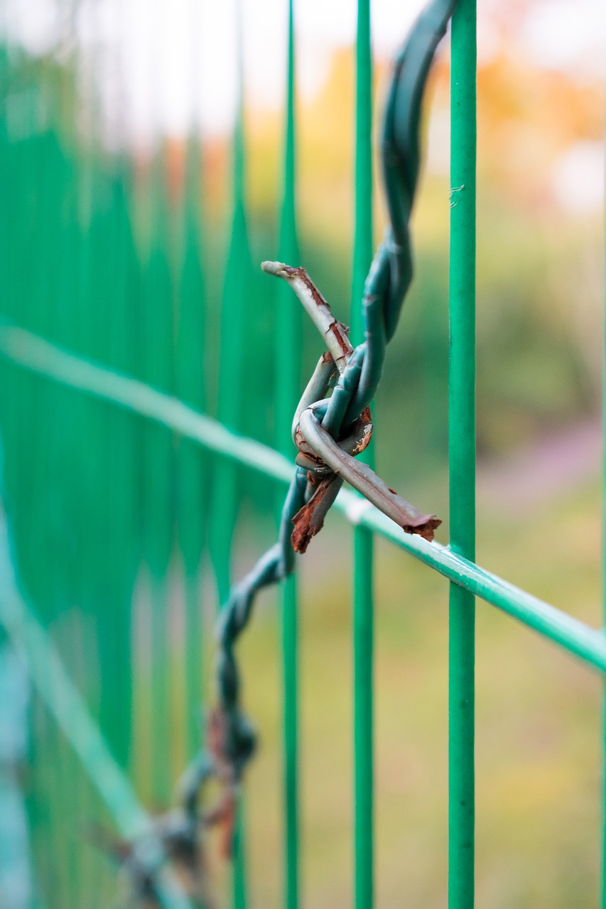 barbed wire fences fence free photo