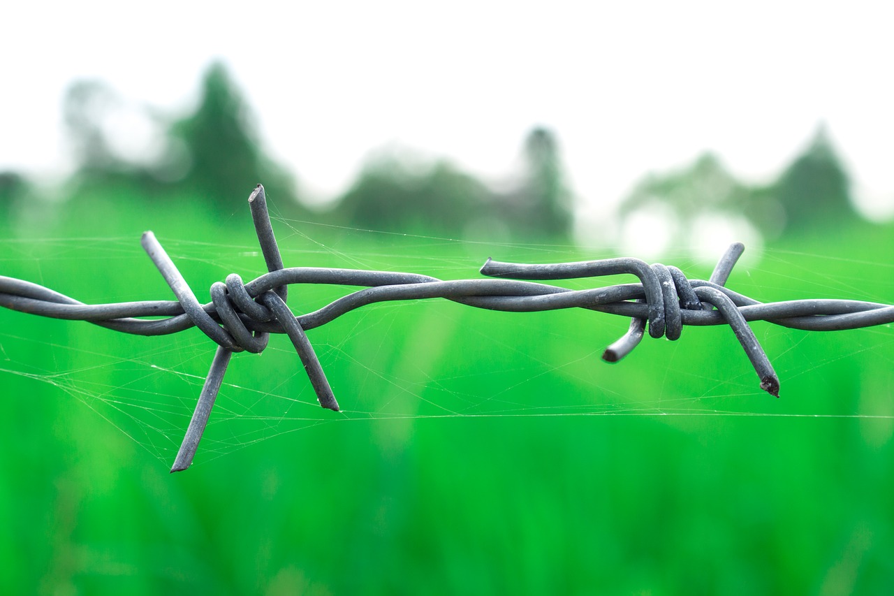 barbed wire countryside green free photo