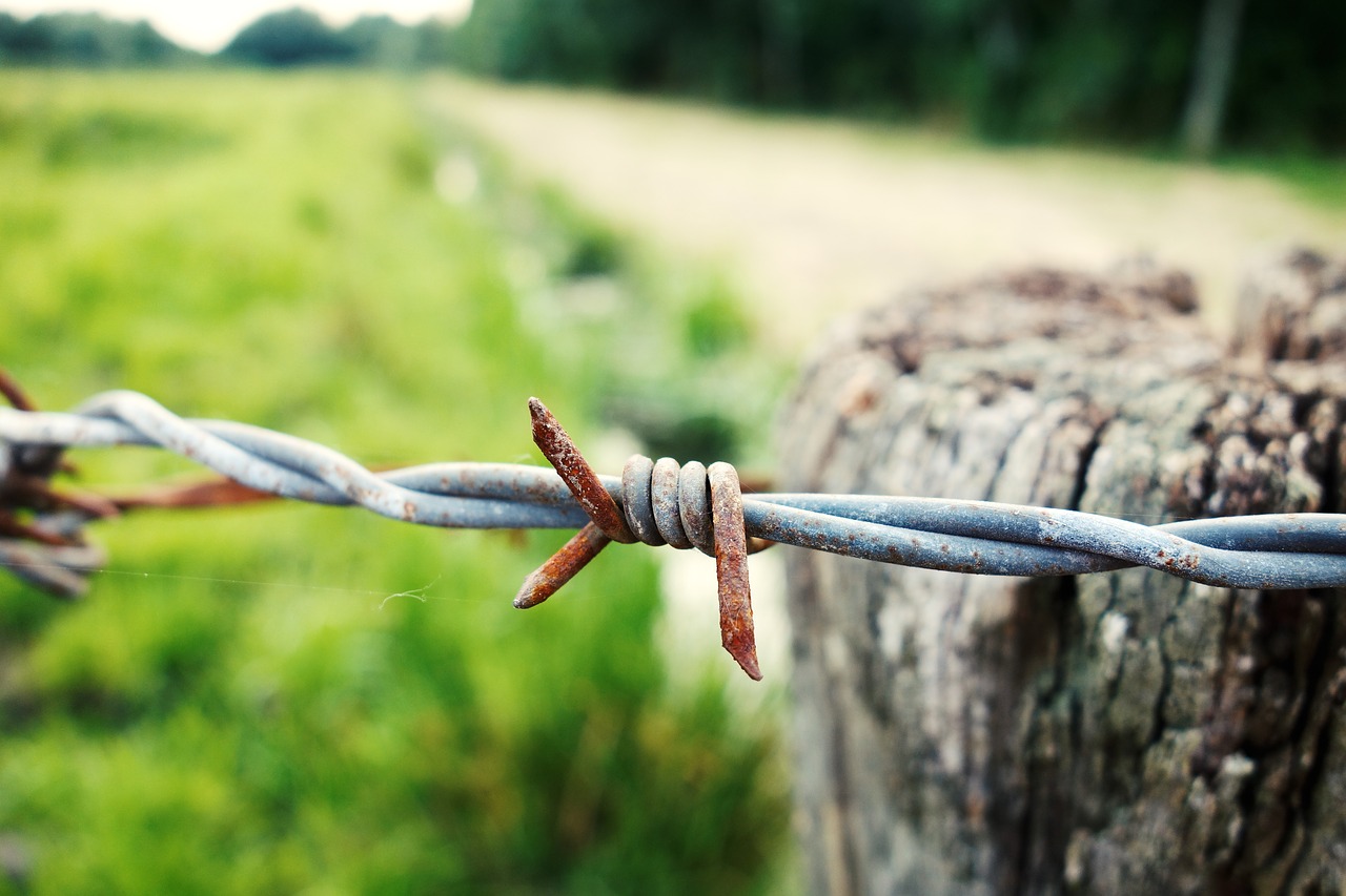 barbed wire wire fence free photo