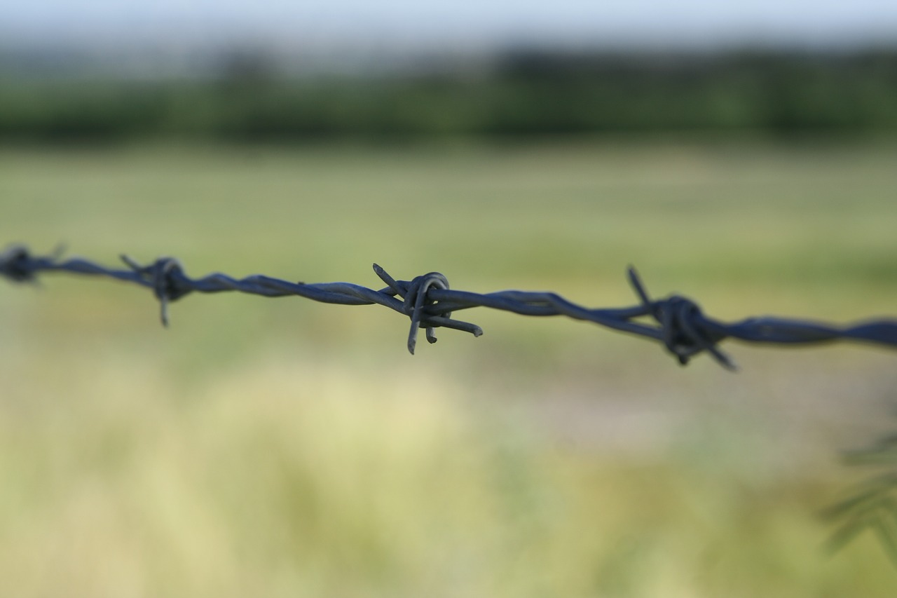 barbed wire cambo free pictures free photo