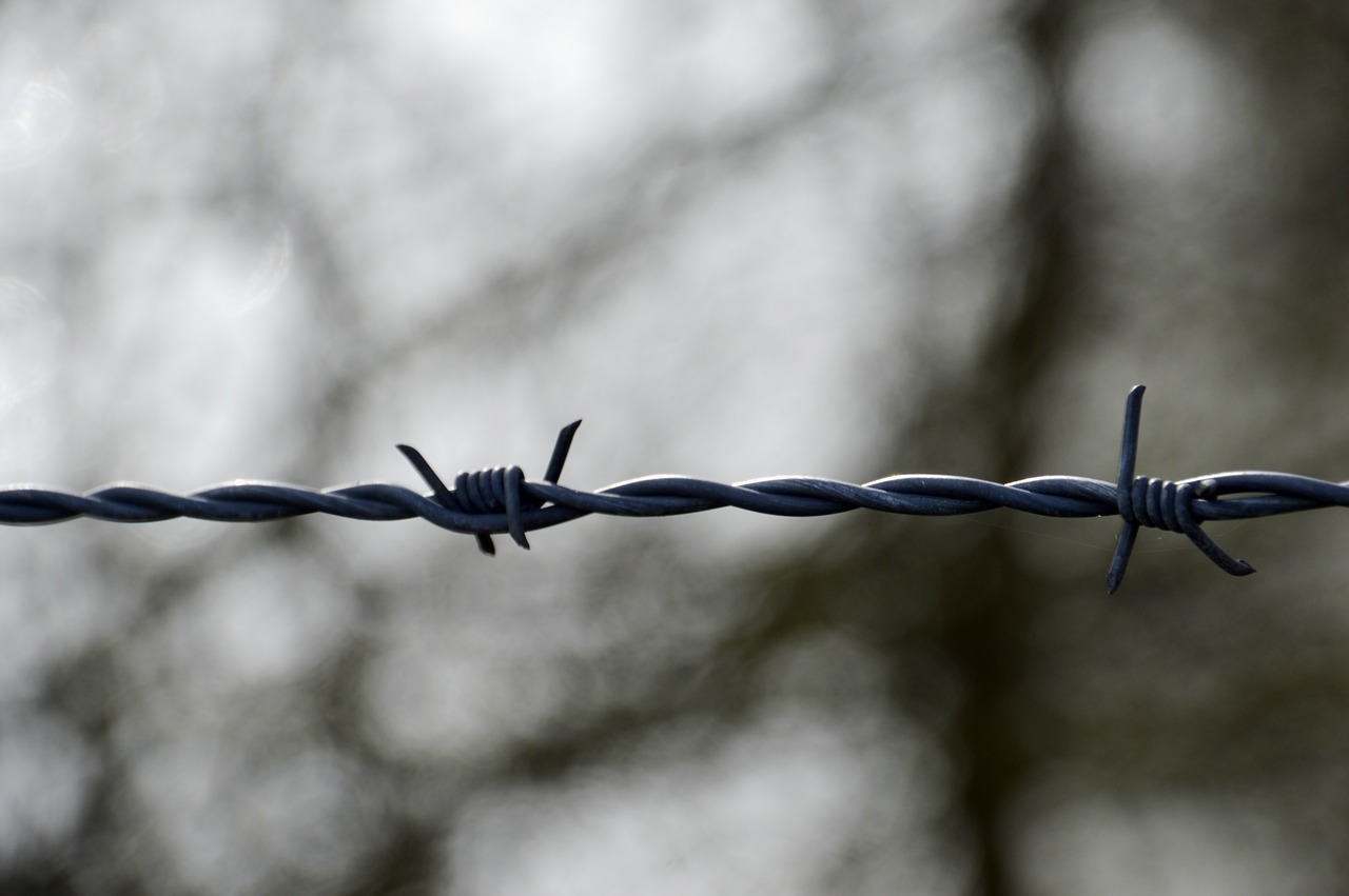 barbed wire closing security free photo