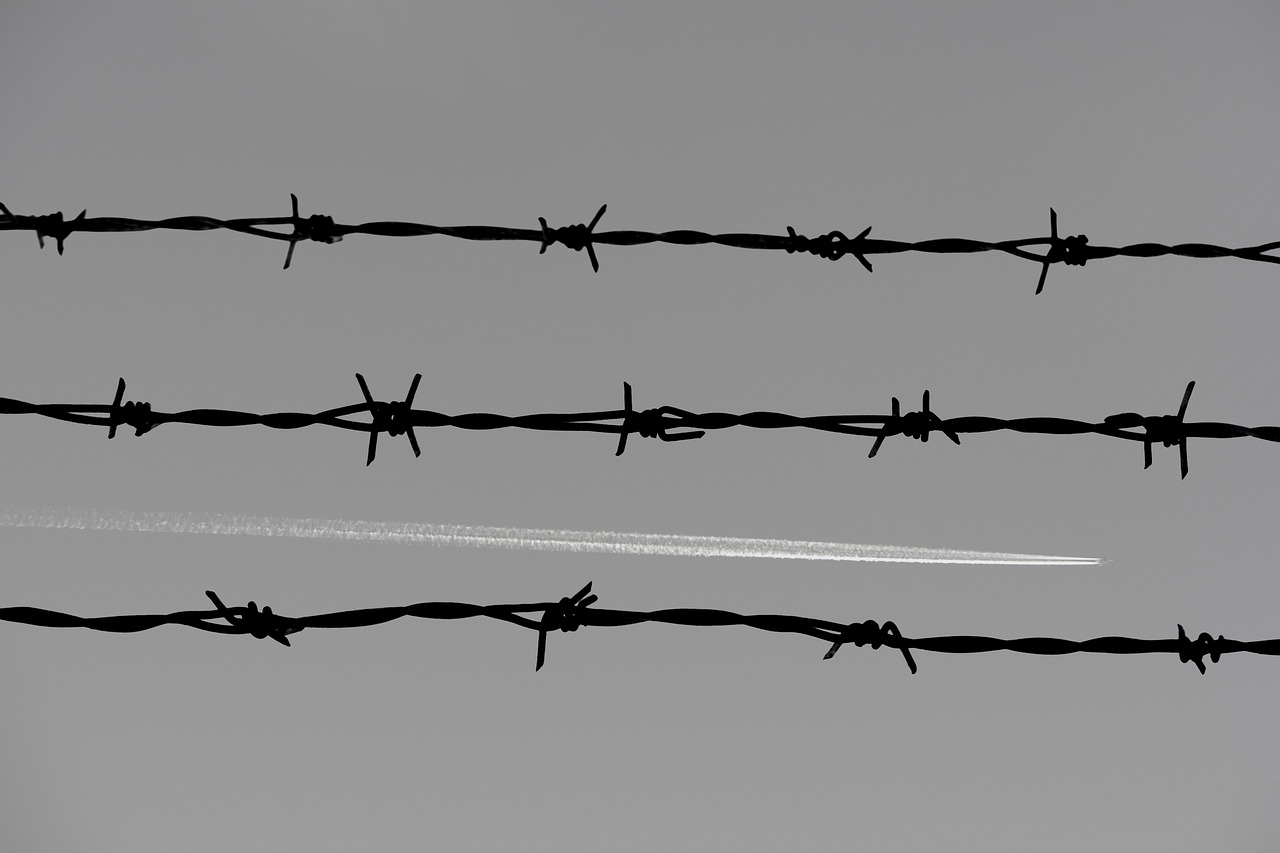 barbed wire fence prison free photo