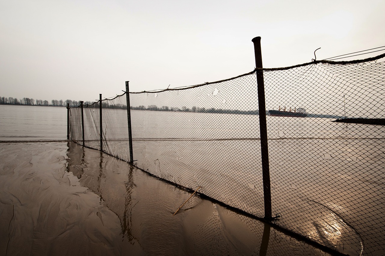 barbed wire  fence  waters free photo