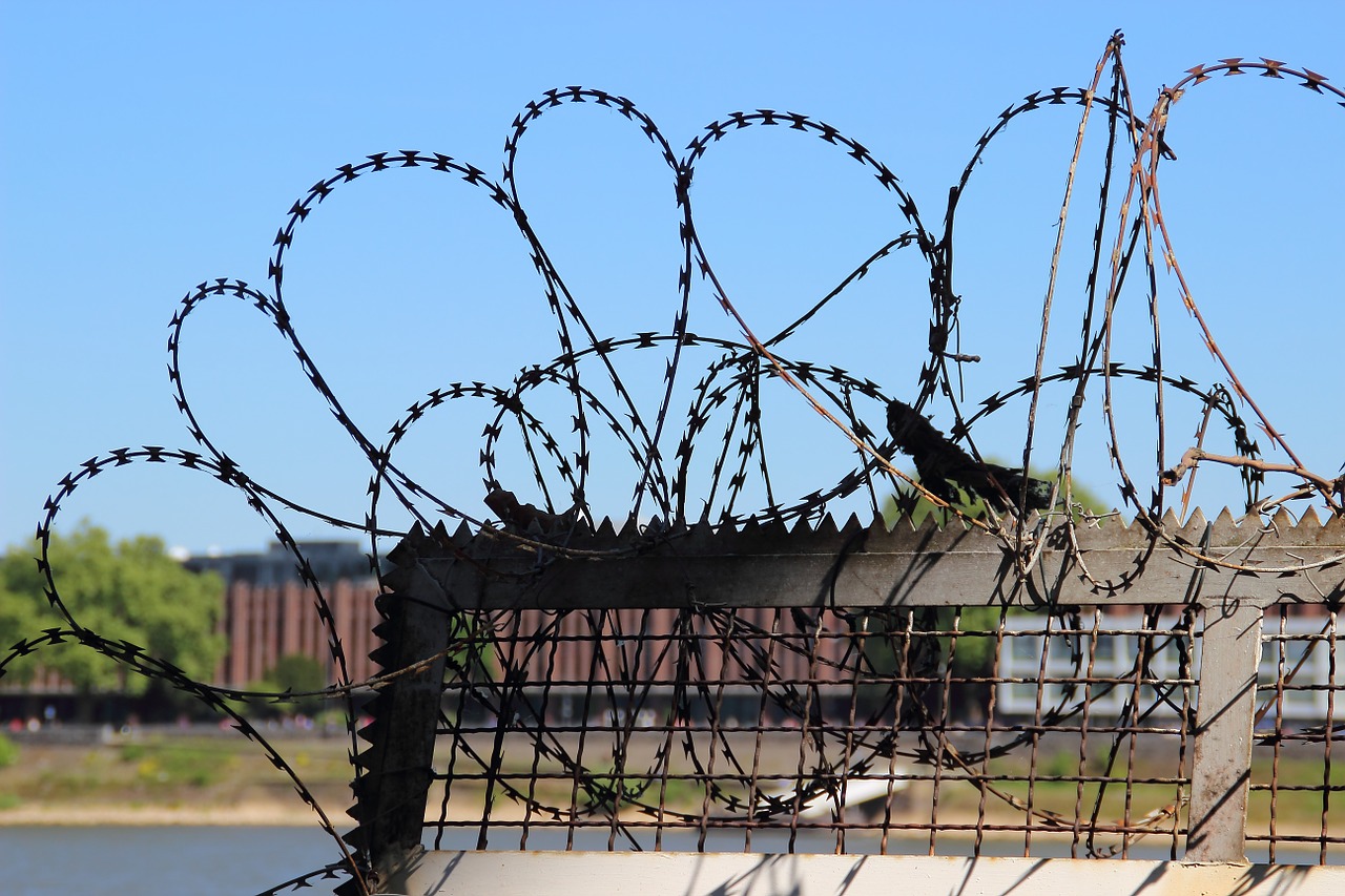 barbed wire fence freedom free photo