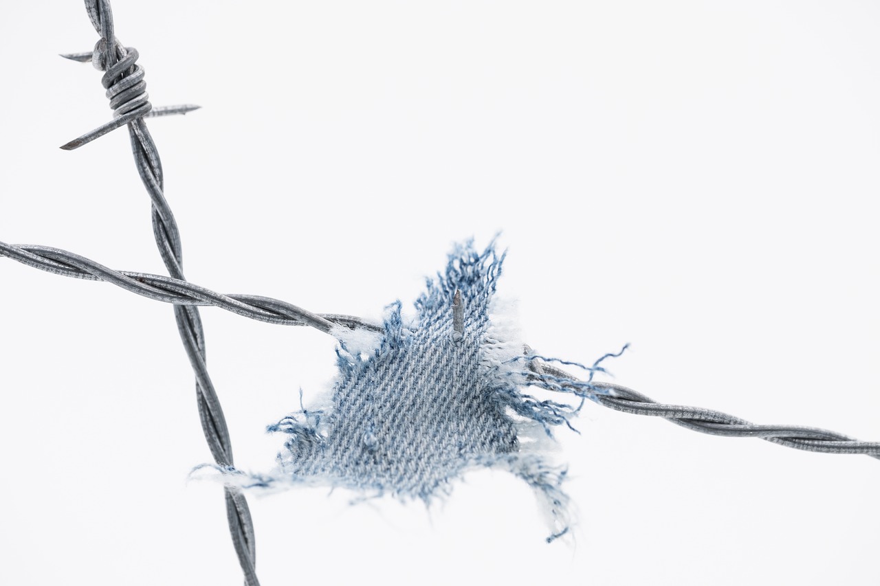 barbed wire  fabric  rip free photo