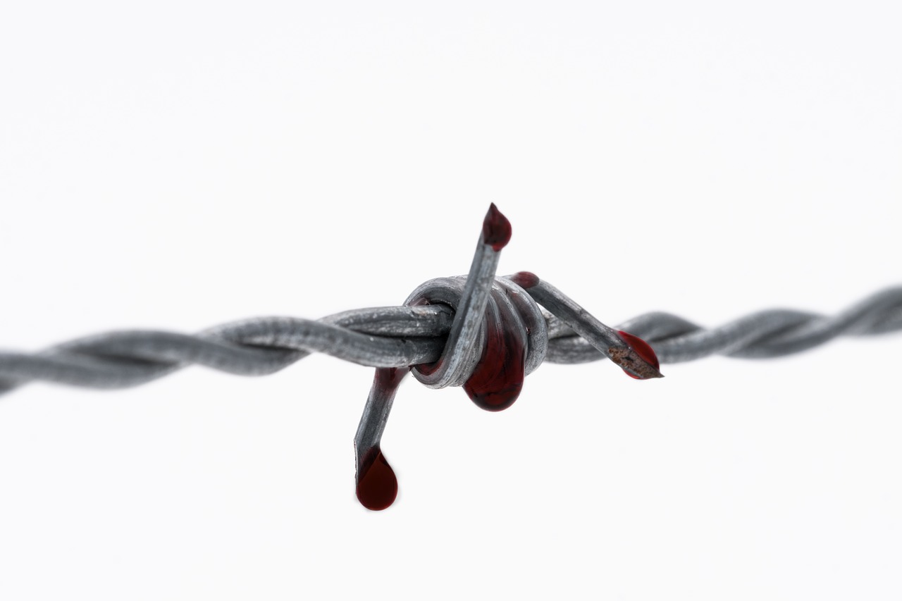 barbed wire  blood  bloody free photo