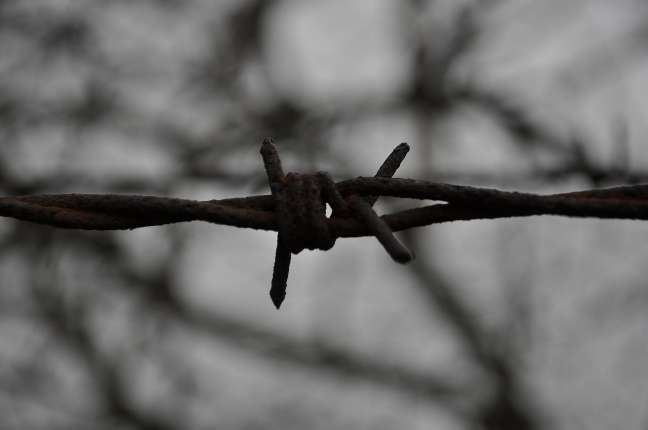barbed wire metal rods free photo