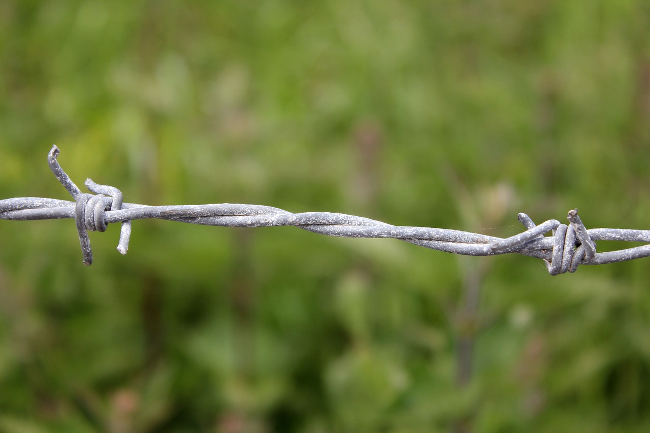 barbed wire  fence  demarcation free photo