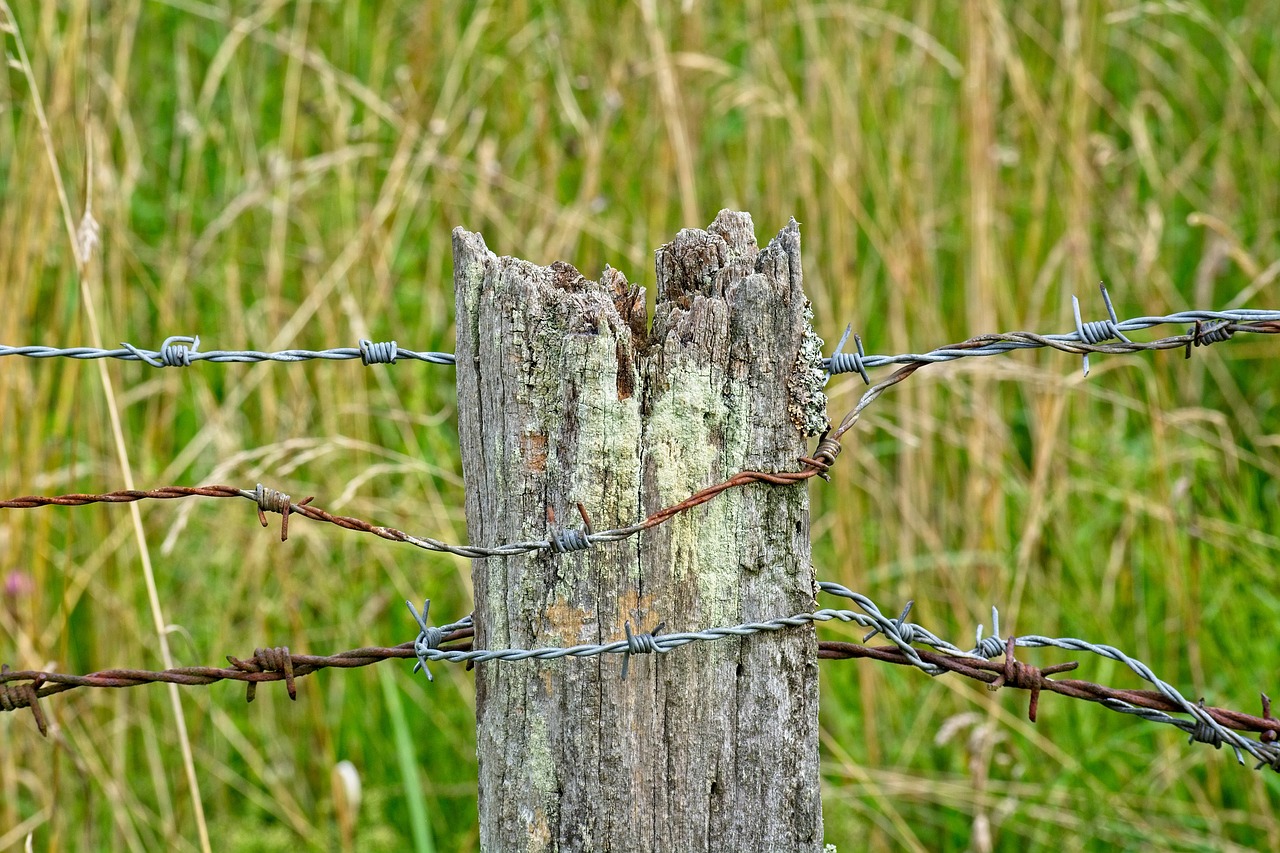 barbed wire  post  old free photo