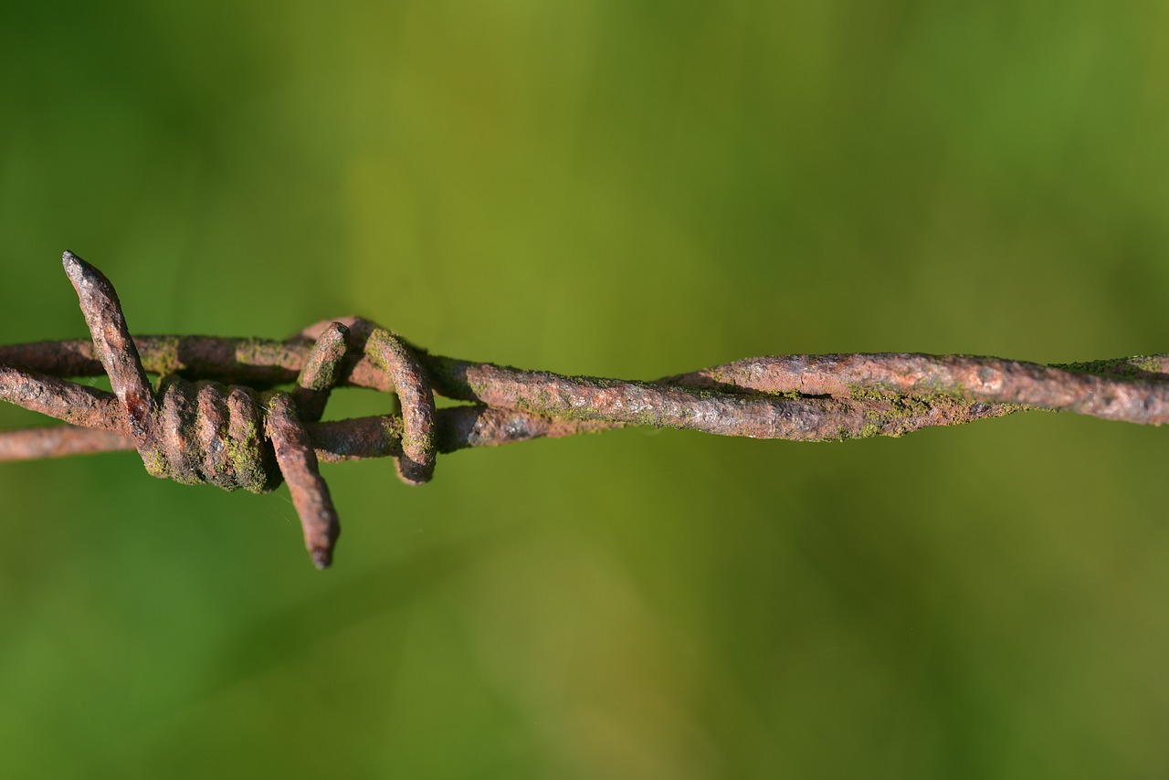 barbed wire  rust  fence free photo