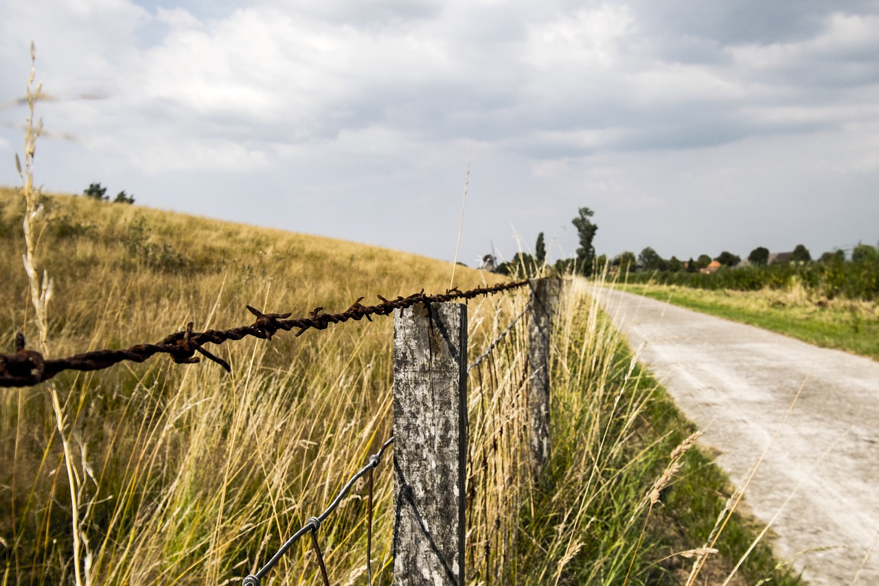 barbed wire  away  meadow free photo