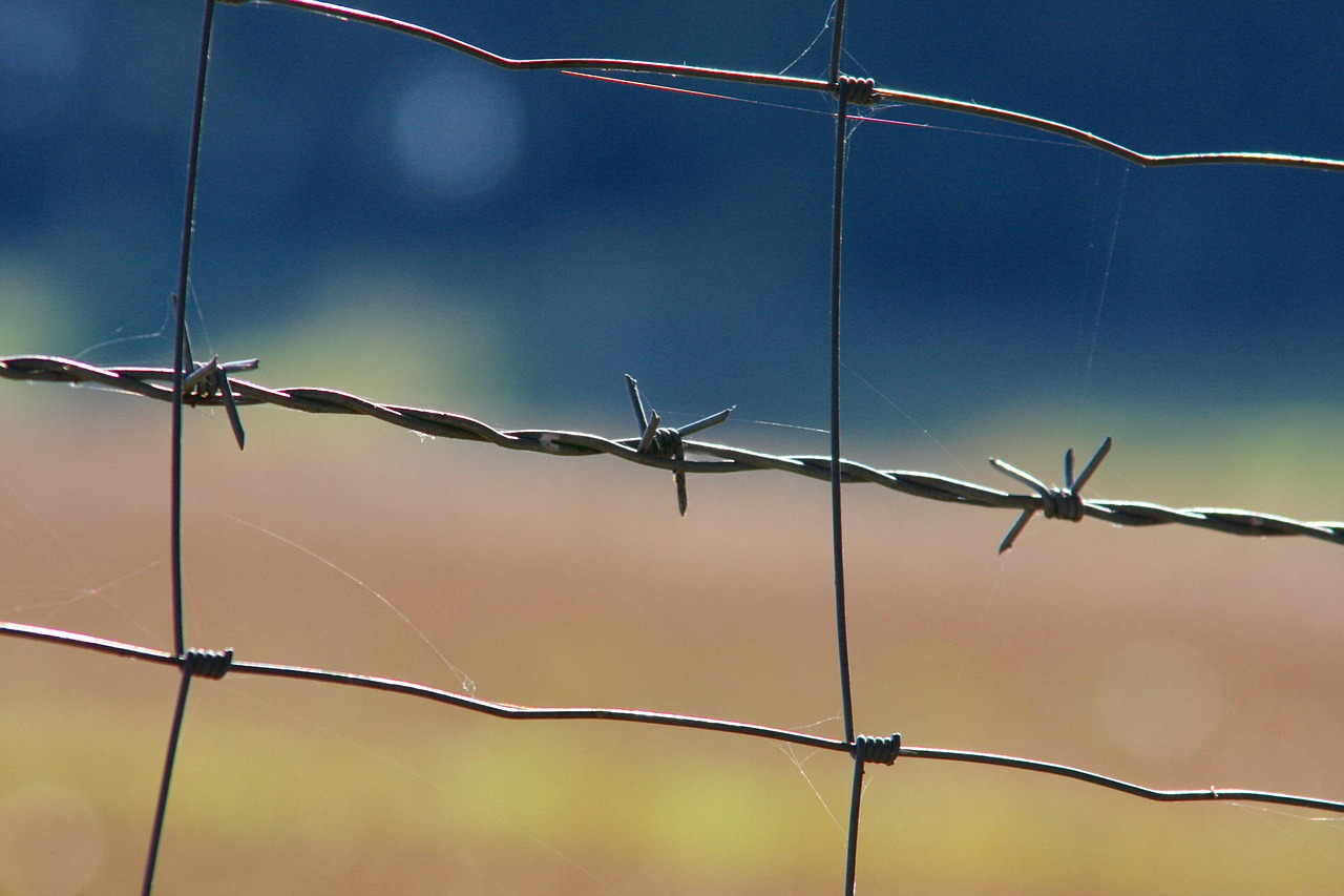 barbed wire wiring security free photo