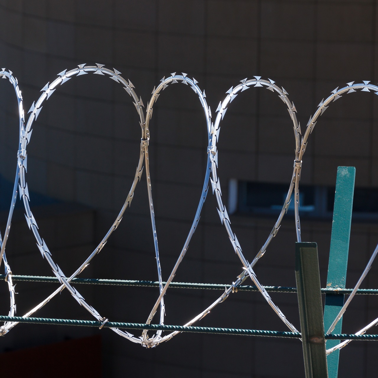 barbed wire  fence  heart free photo