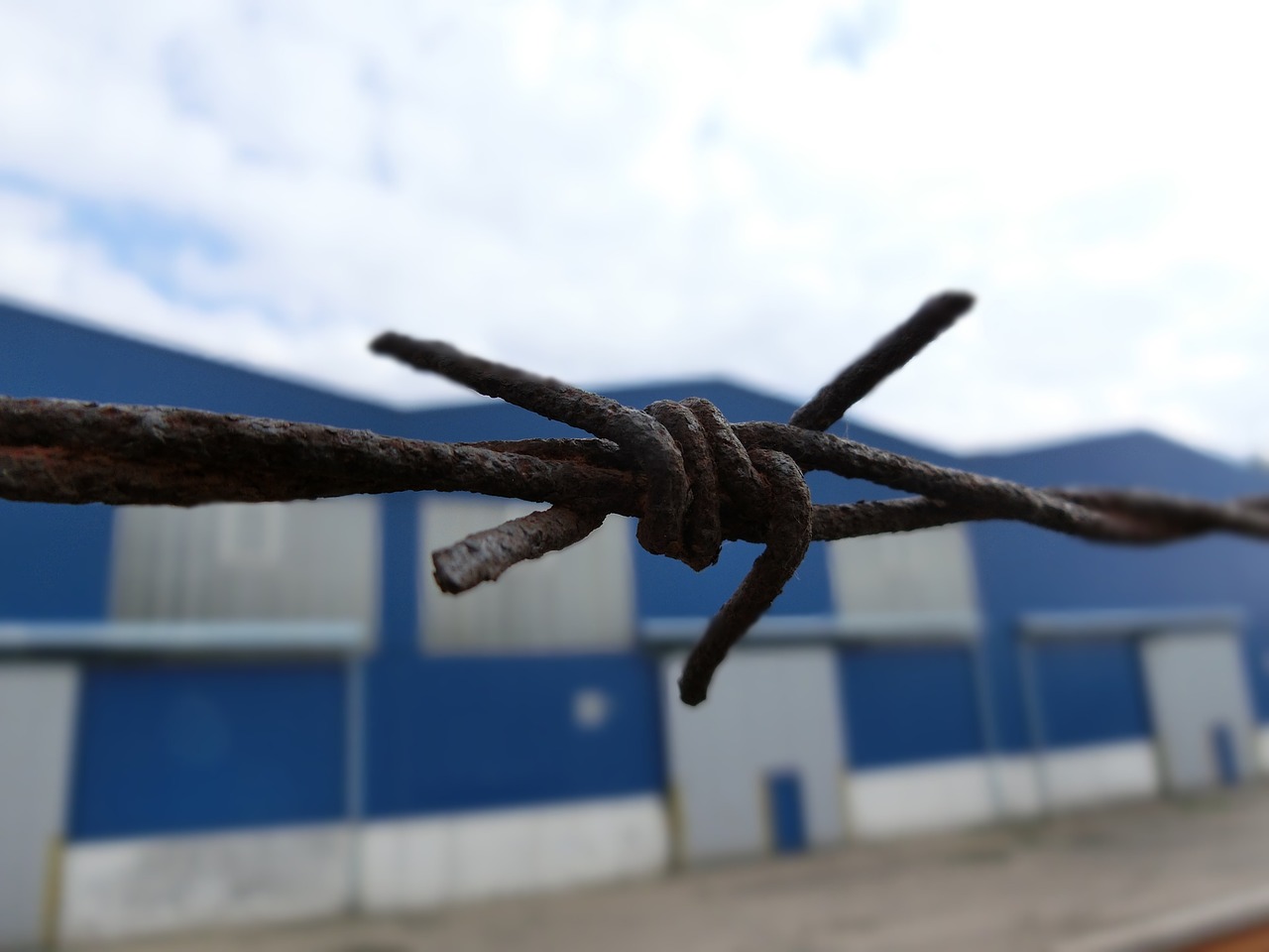 barbed wire wire demarcation free photo