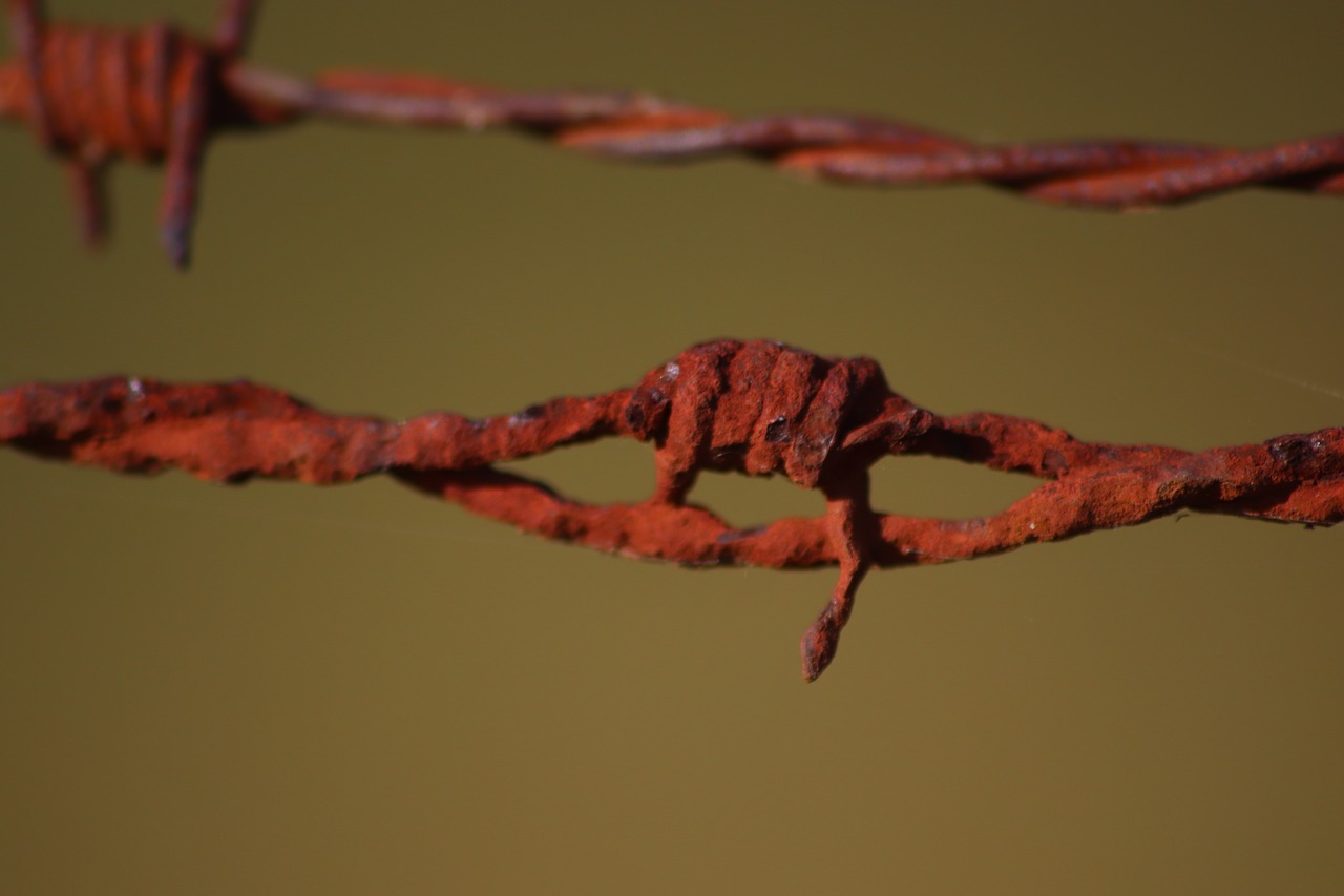 barbed wire  rust  closing free photo