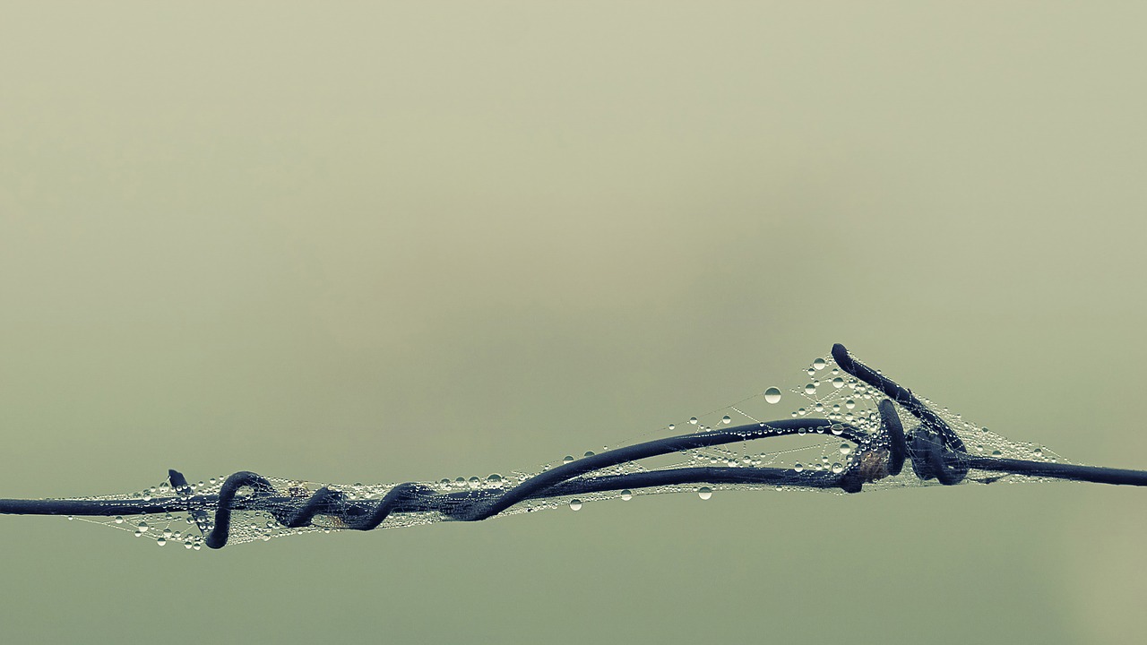 barbed wire  fog  foggy free photo