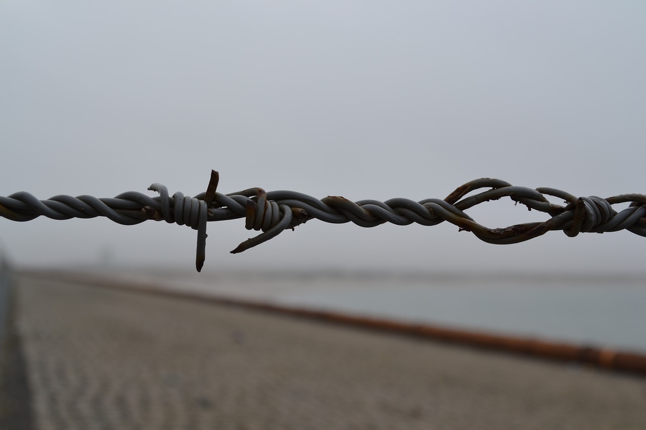 barbed wire  barb wire  thread free photo