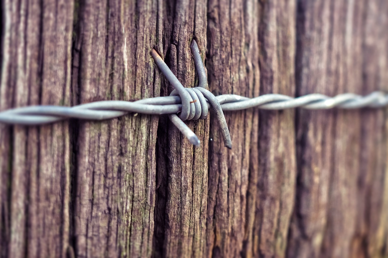 barbed wire  wood  fence free photo