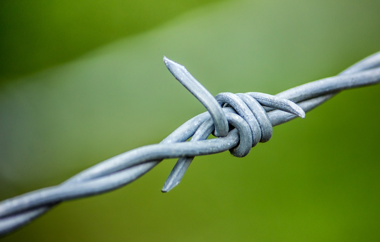barbed wire  barb wire  wire free photo