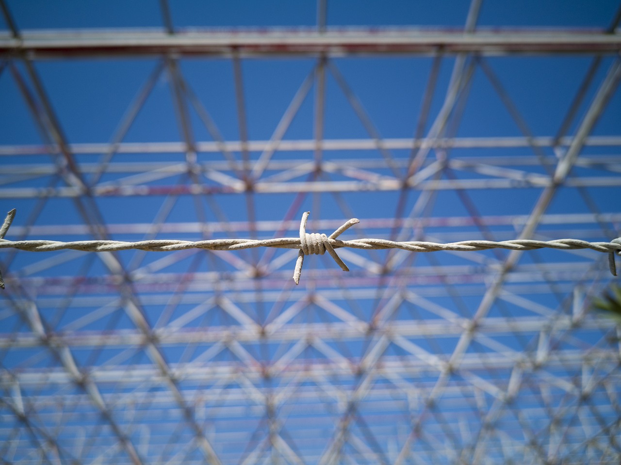 barbed wire  metal  daniel free photo