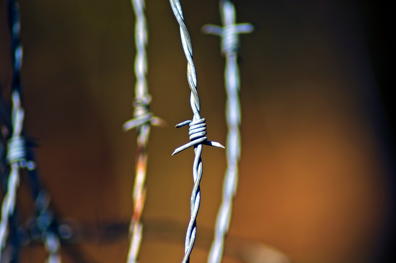 barbed wire  barb  wire free photo