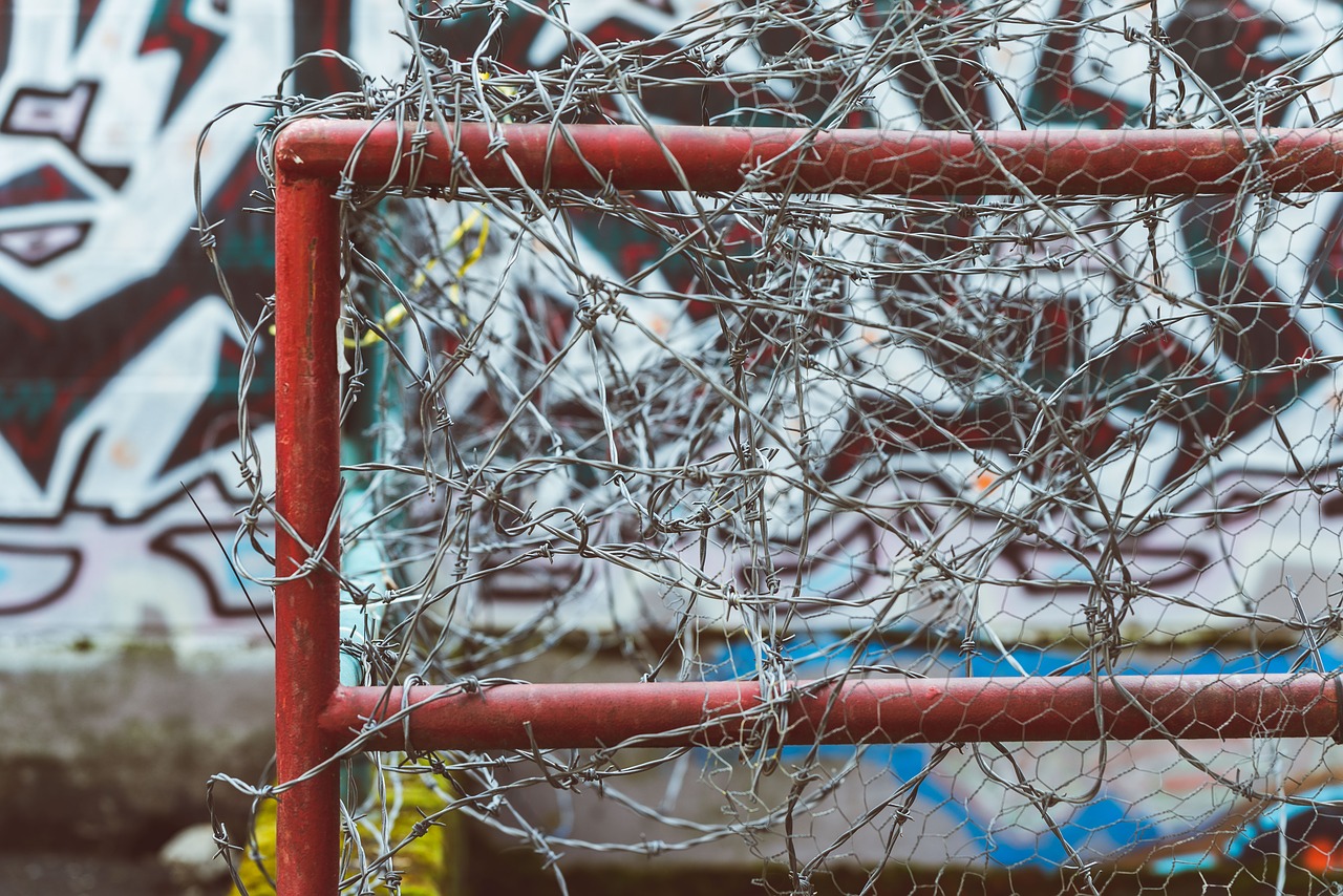 barbed wire  fence  victoria free photo