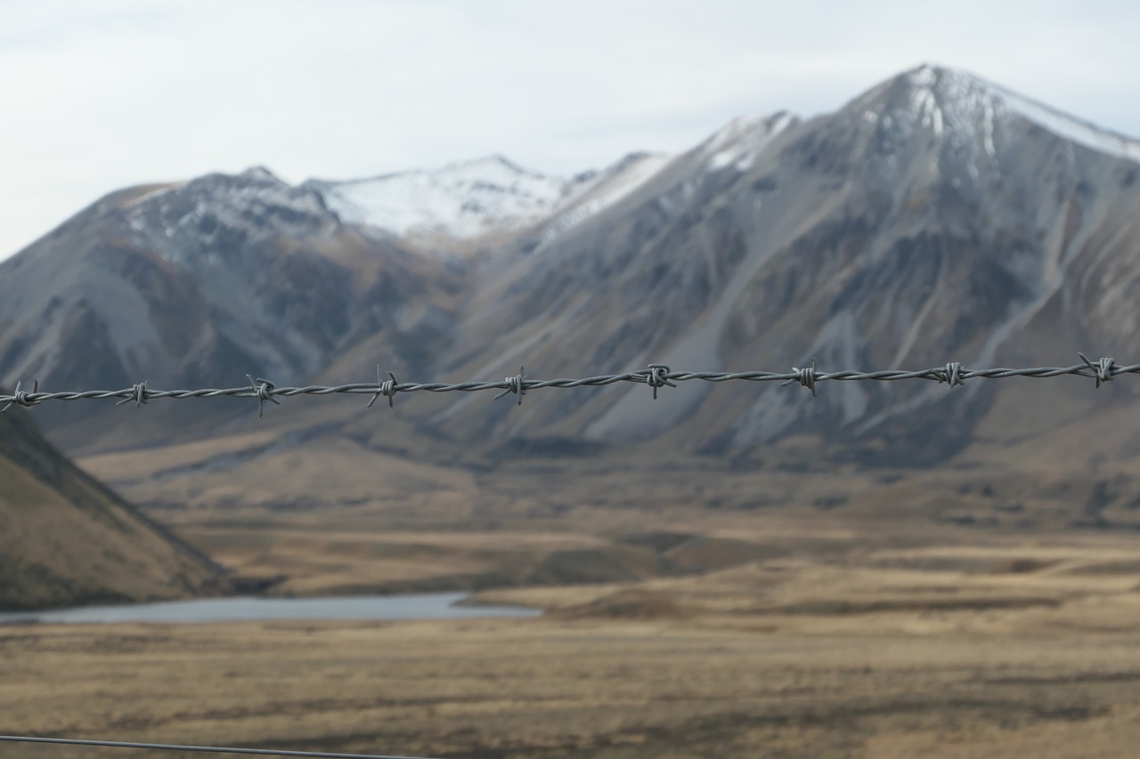 barbed wire  new zealand  mountain free photo