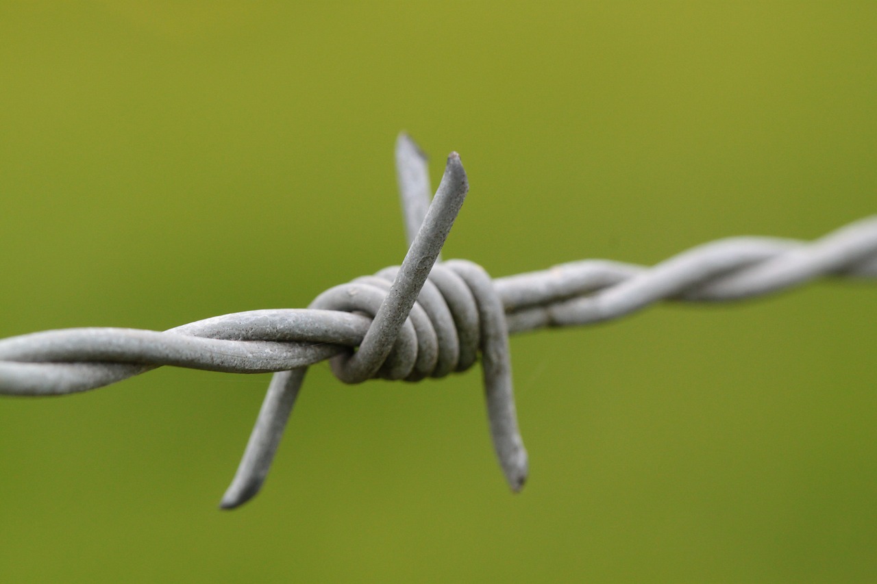 barbed wire pointed wire free photo
