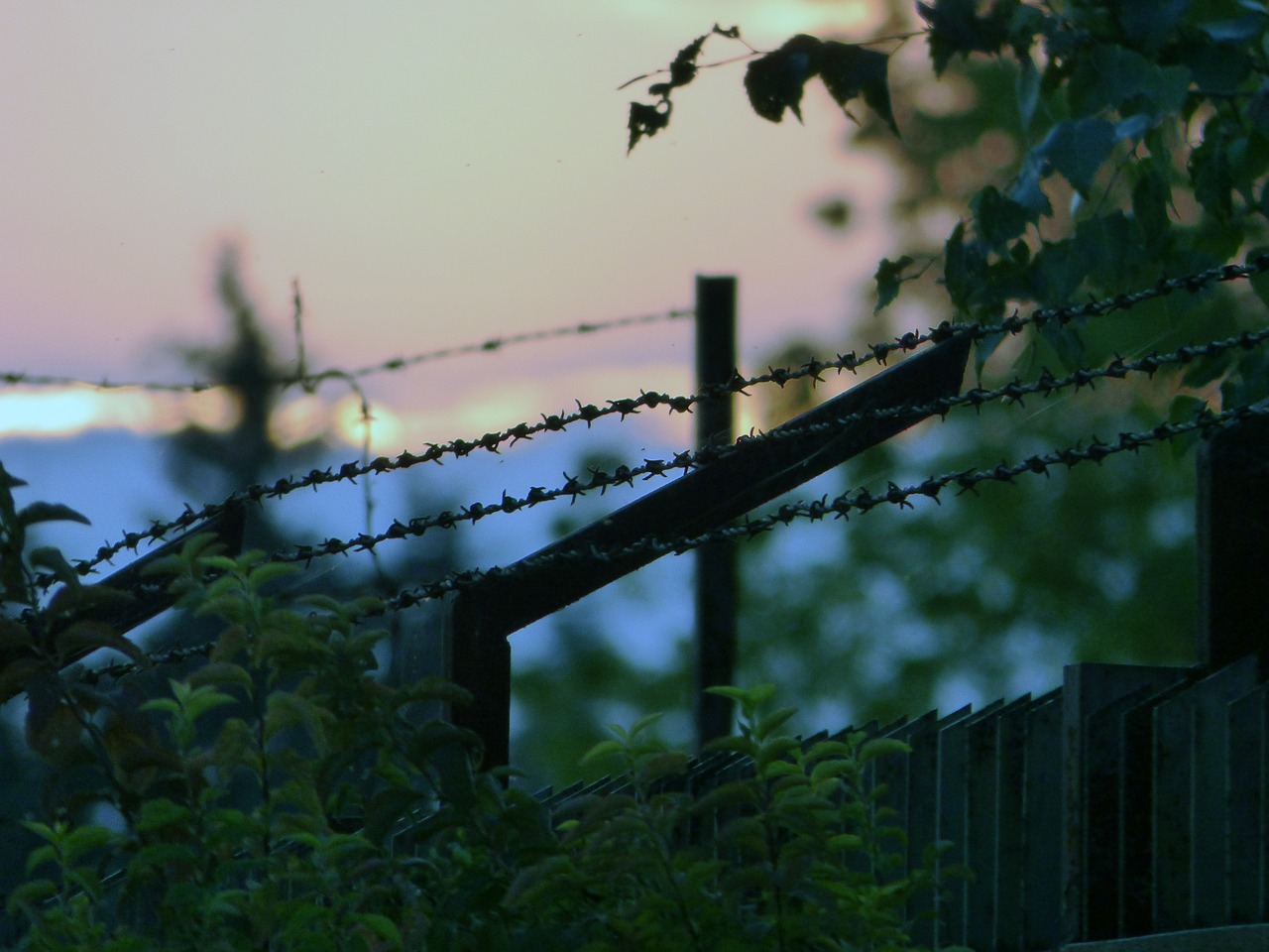 barbed wire prison wires free photo