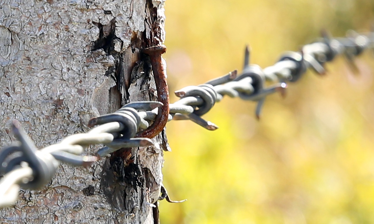 barbed wire pasture fence barrier free photo
