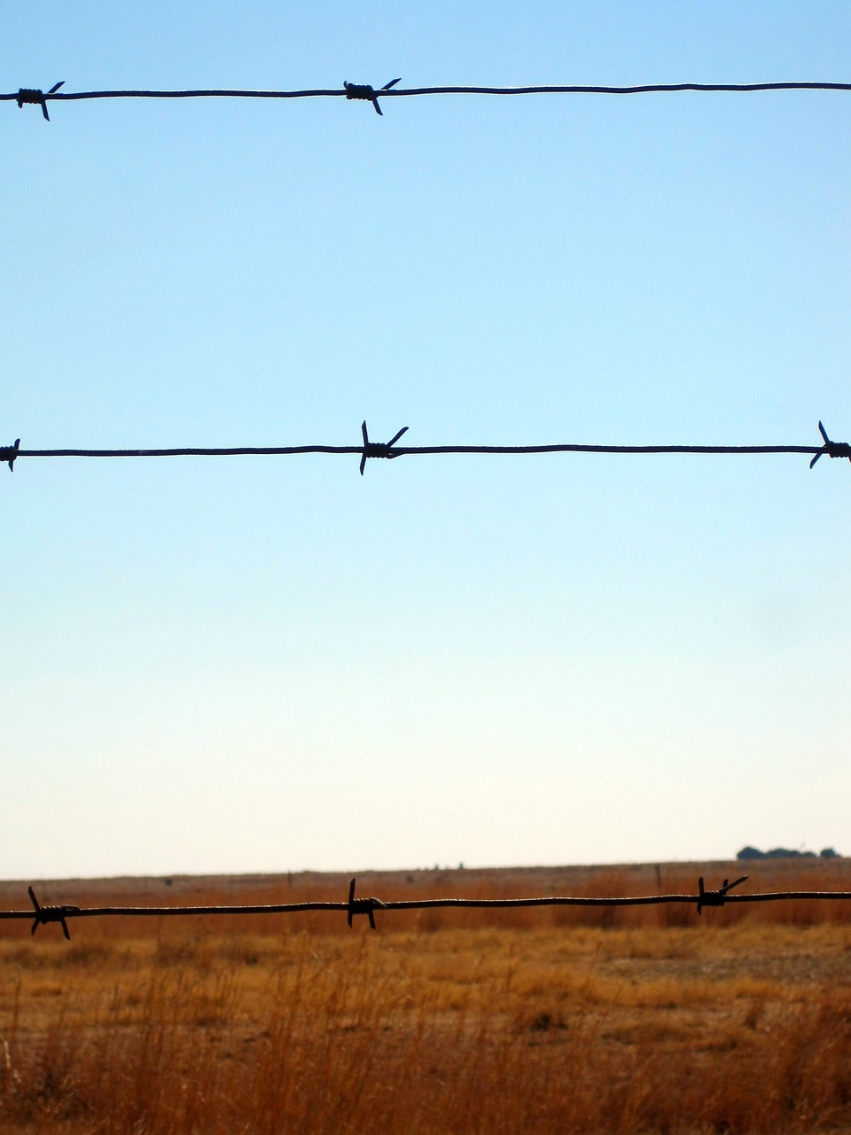 barbed wire wire fence free photo