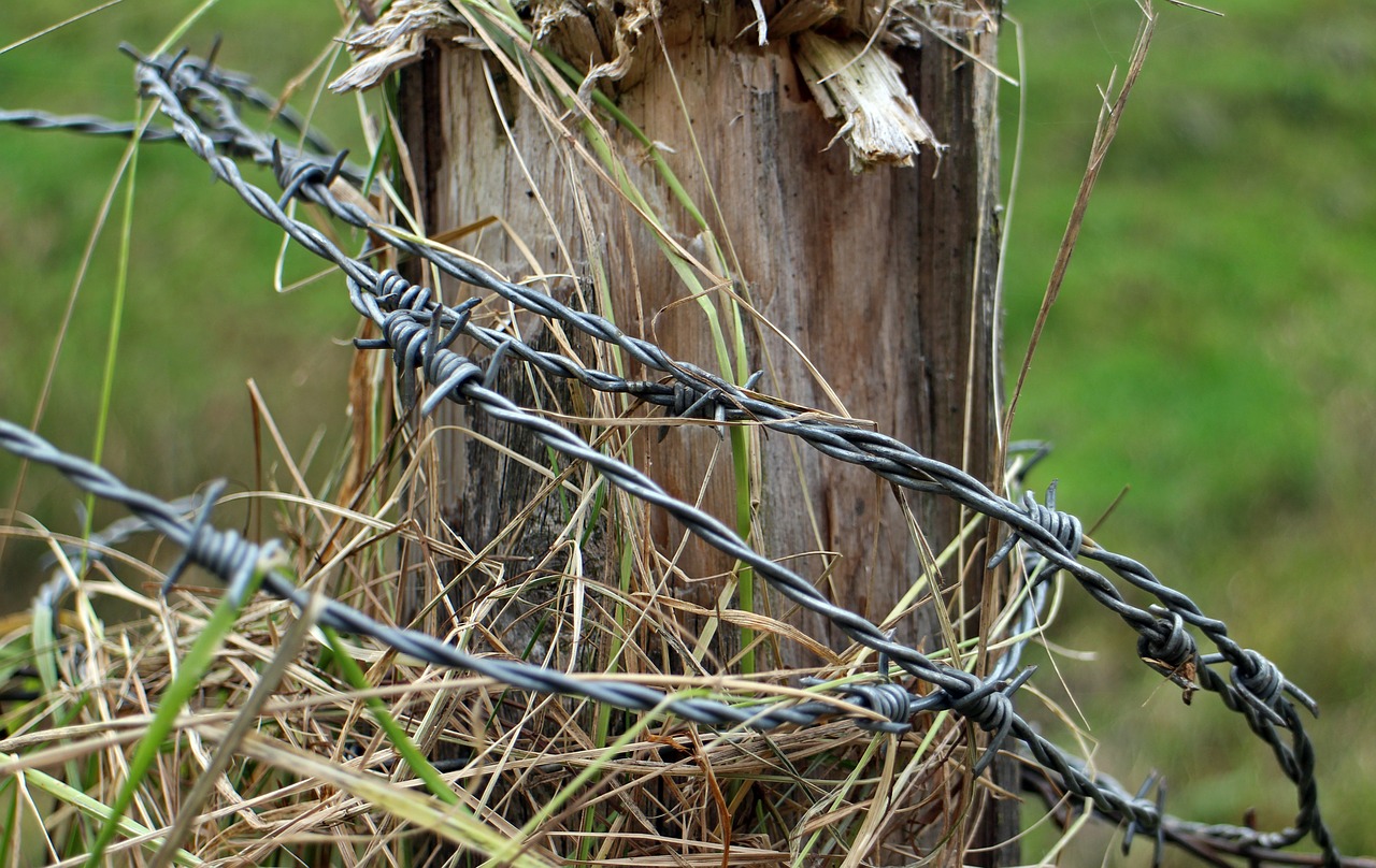 barbed wire post fence free photo
