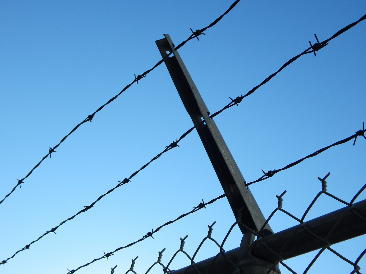 barbed wire prison chain link free photo