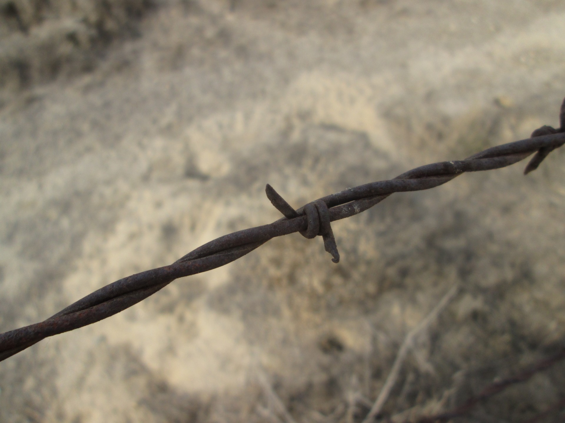 barbed wire metal fence free photo