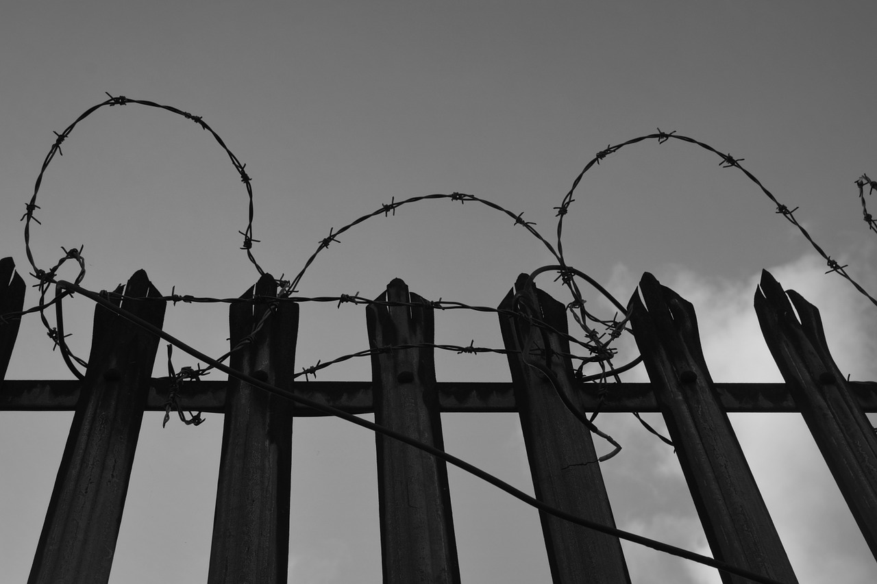 barbed wire fence secretion free photo