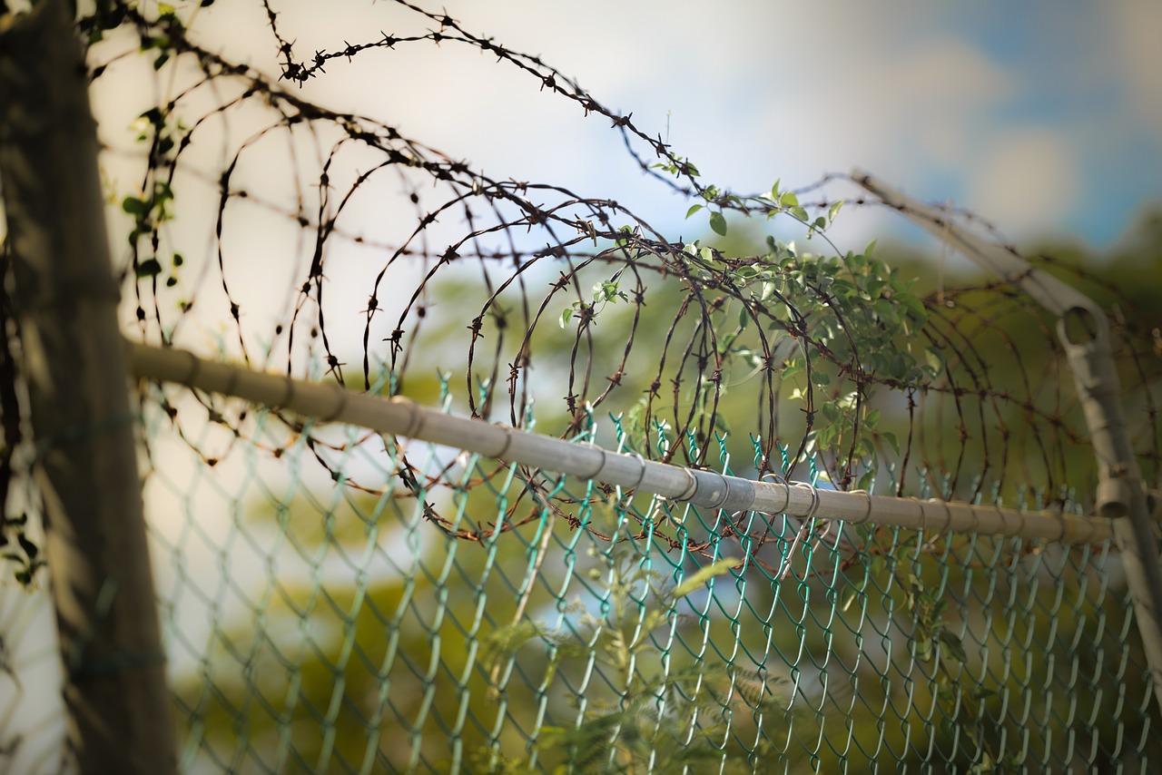barbed wire fence barbwire free photo