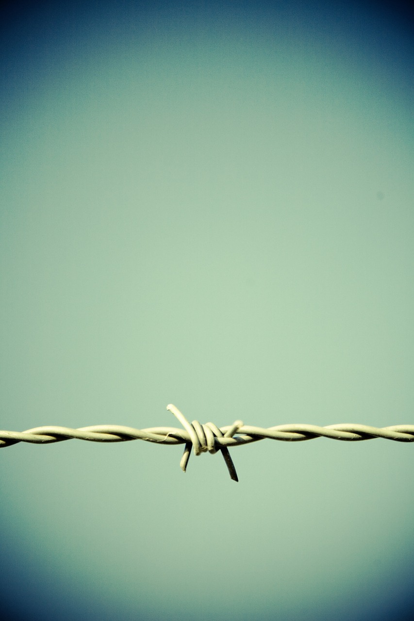 barbed wire fence border free photo
