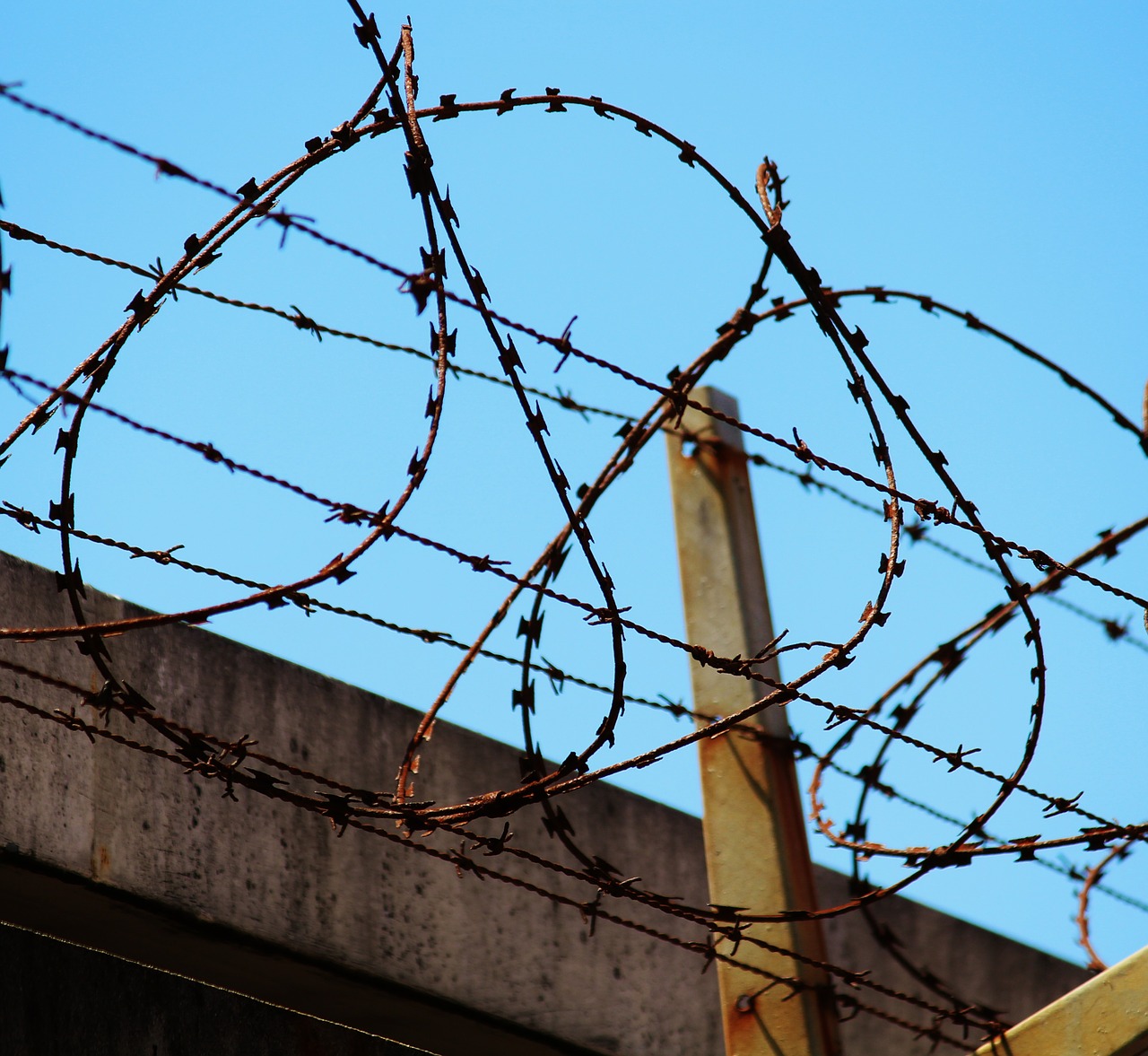 barbed wire fence barbed wire fence free photo