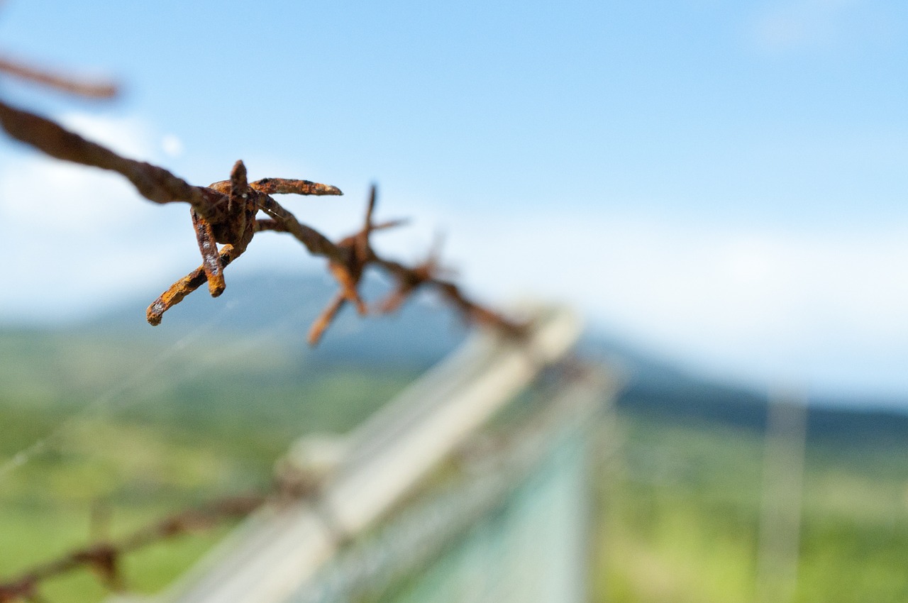 barbed wire fence mountains free photo