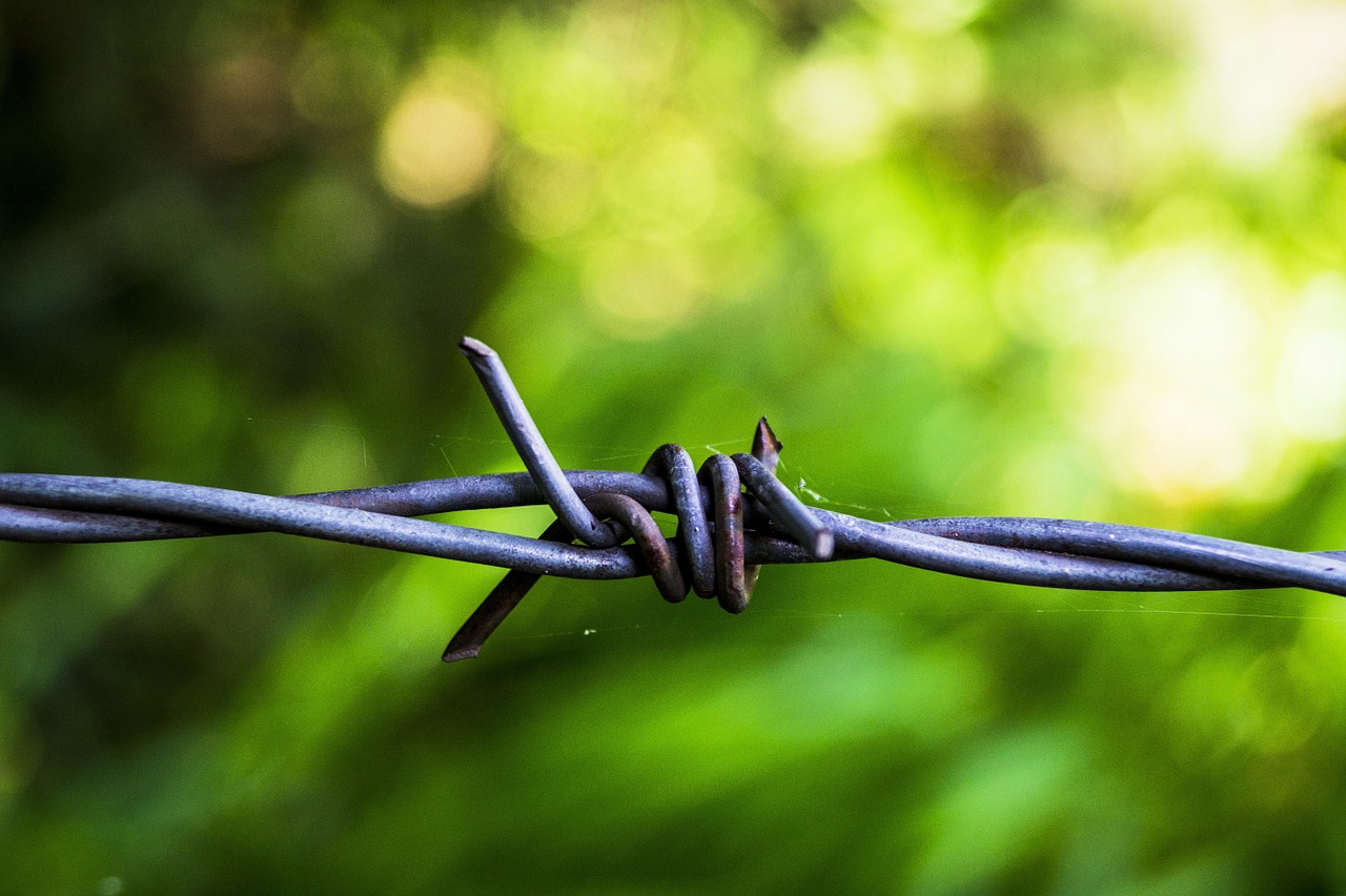 barbed wire fence wire free photo