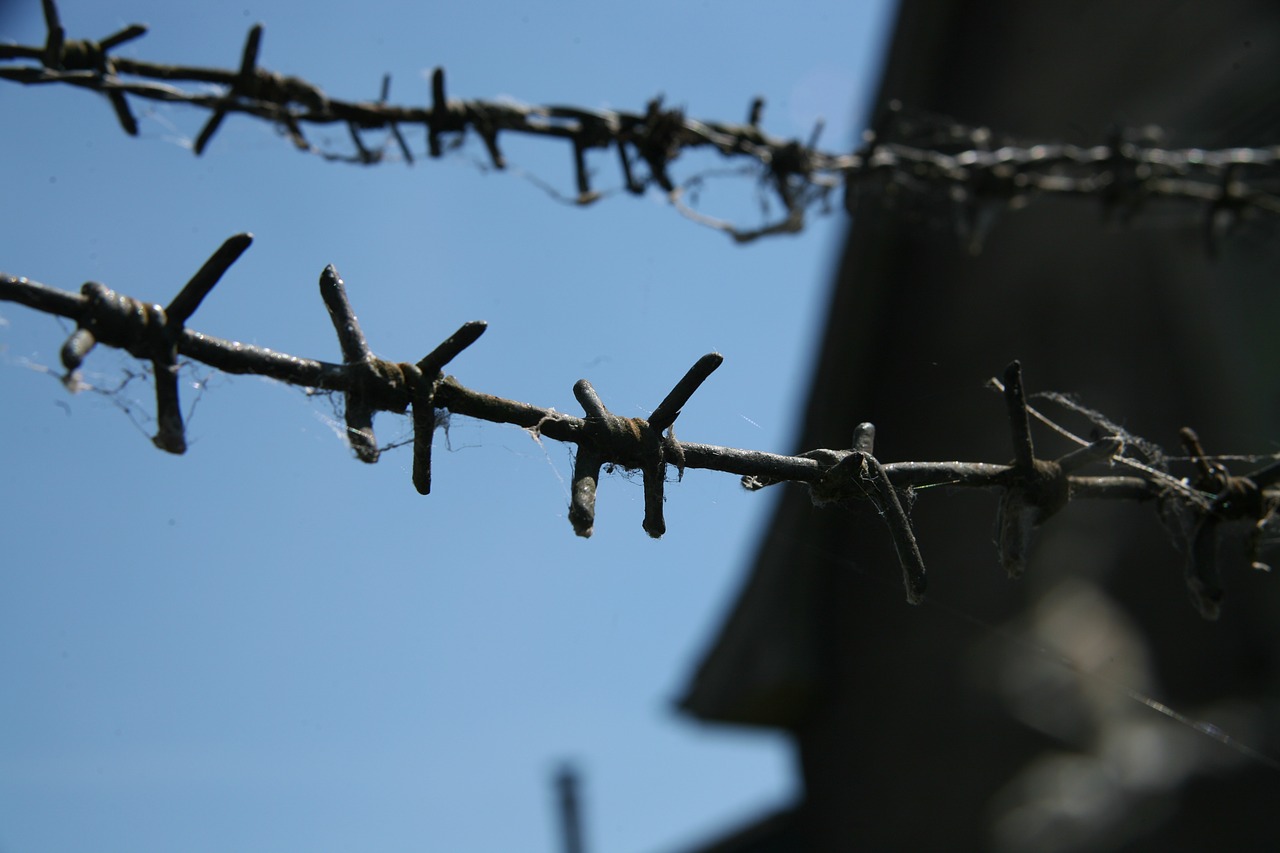 barbed wire city closing free photo