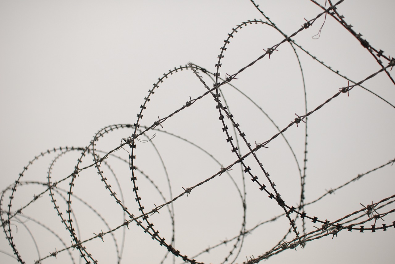 barbed wire this star pain free photo