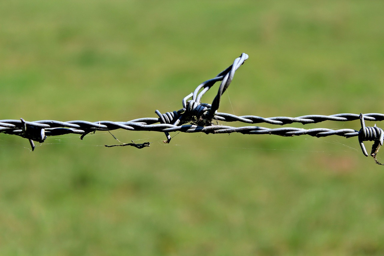 barbed wire fence metal free photo