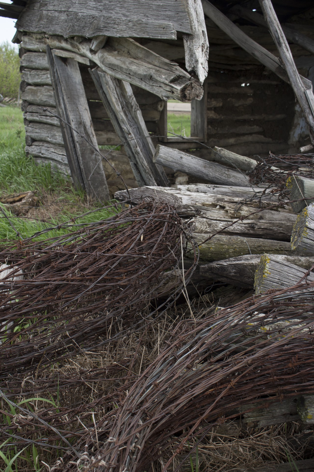 barbed wire farm free photo