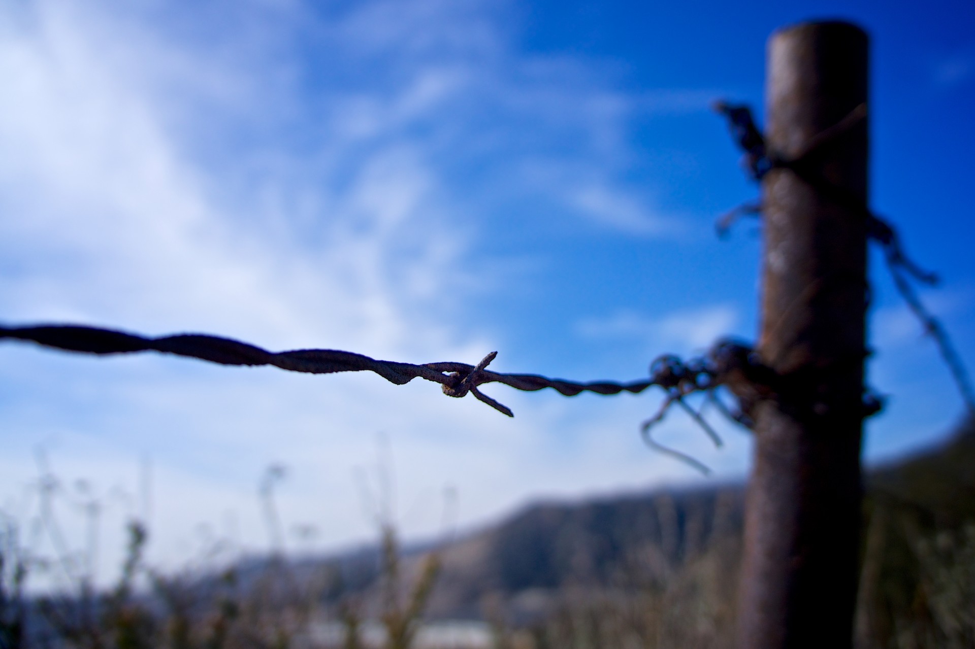 barbed wire barbed wire fence closeup free photo