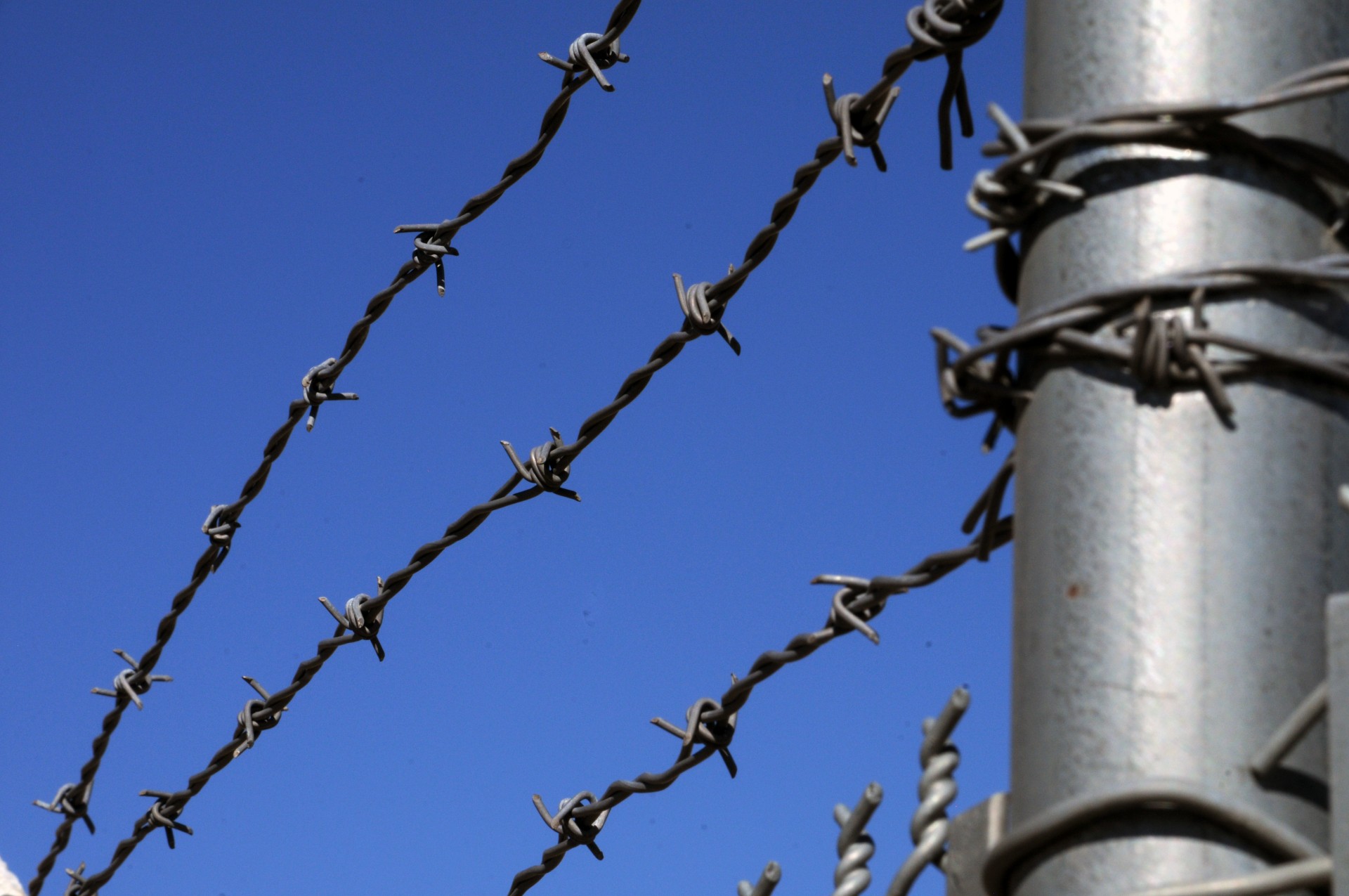 barbed wire barbed wire fence fence free photo