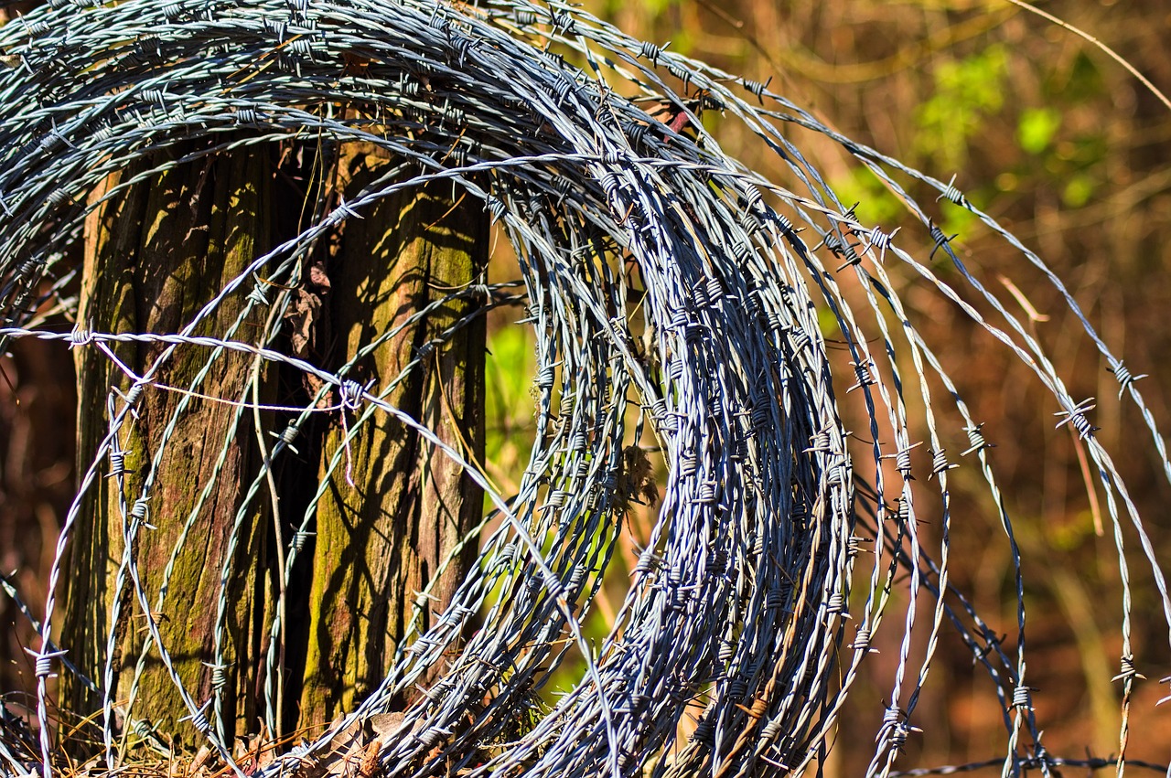 barbed wire roll  wire  barb free photo