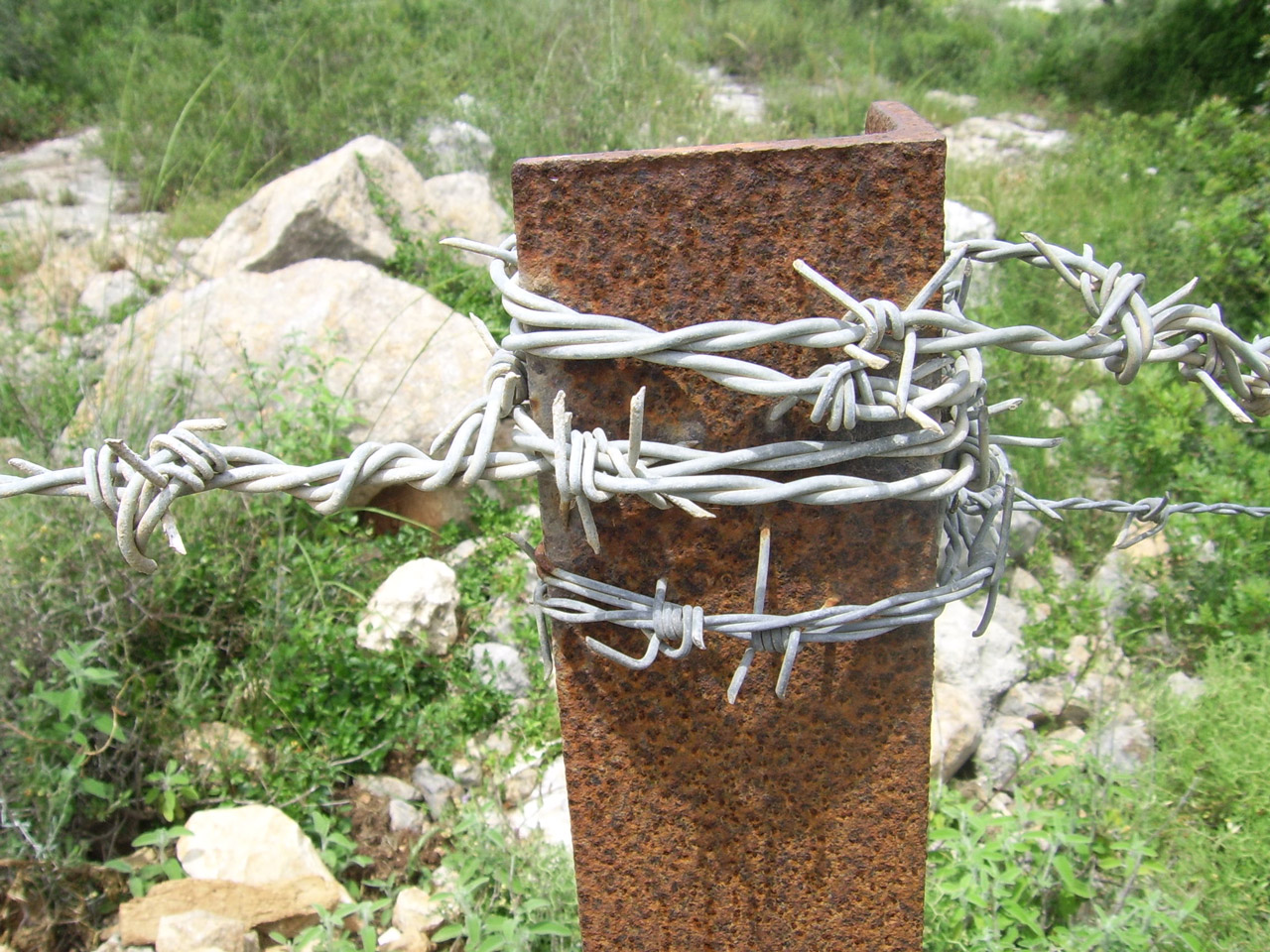 barbed wire rusty free photo