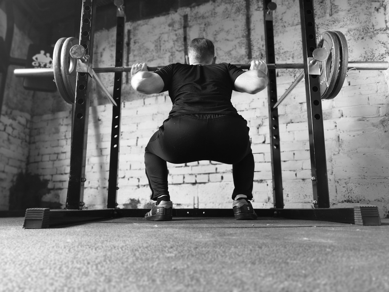 barbell  gym  squat rack free photo